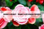 领动换什么轮胎好？ 领动换什么牌子的轮胎不容易鼓包？