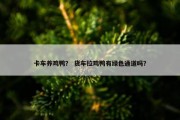 卡车养鸡鸭？ 货车拉鸡鸭有绿色通道吗？