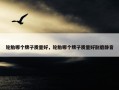 轮胎哪个牌子质量好，轮胎哪个牌子质量好耐磨静音