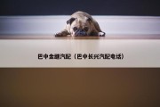 巴中金继汽配（巴中长兴汽配电话）