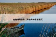 奔驰海外卡车（奔驰海外卡车图片）