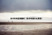 白卡车车区别图片（白卡车是什么意思）