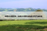 川崎300摩托车，川崎300摩托车加多少号汽油合适