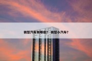 微型汽车有哪些？ 微型小汽车？