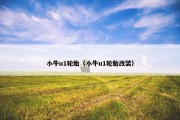 小牛u1轮胎（小牛u1轮胎改装）