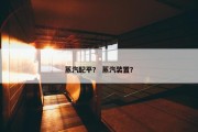 蒸汽配平？ 蒸汽装置？