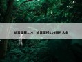哈雷摩托114，哈雷摩托114图片大全
