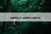 哈雷摩托114，哈雷摩托114图片大全