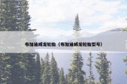 布加迪威龙轮胎（布加迪威龙轮胎型号）