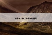 修卡车大神（修卡车的视频）