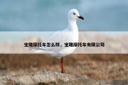 宝雕摩托车怎么样，宝雕摩托车有限公司