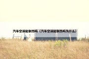 汽车空调能制热吗（汽车空调能制热吗为什么）