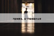 汽配城黄毛，这个汽配城是什么呀