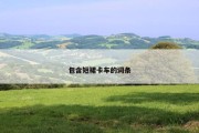 包含短裙卡车的词条