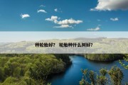 种轮胎好？ 轮胎种什么树好？