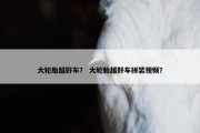 大轮胎越野车？ 大轮胎越野车拼装视频？