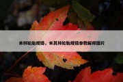 米林轮胎规格，米其林轮胎规格参数解释图片