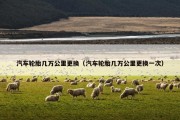 汽车轮胎几万公里更换（汽车轮胎几万公里更换一次）