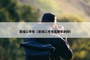 思域二手车（思域二手车买那年的好）