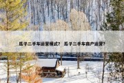 瓜子二手车运营模式？ 瓜子二手车商户运营？