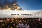 1300箱卡车，拉300吨的货车