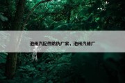 池州汽配件防伪厂家，池州汽修厂
