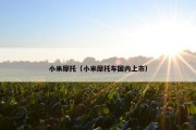 小米摩托（小米摩托车国内上市）