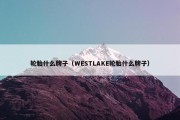 轮胎什么牌子（WESTLAKE轮胎什么牌子）