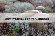 洛阳二手车出售信息，洛阳二手车个人出售最新信息