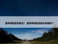 德林特轮胎优缺点？ 德林特轮胎优缺点有哪些？