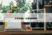 卡卡车危险（卡车危险视频）
