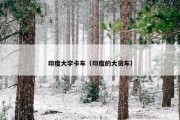 印度大宇卡车（印度的大货车）