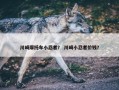 川崎摩托车小忍者？ 川崎小忍者价钱？