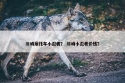 川崎摩托车小忍者？ 川崎小忍者价钱？