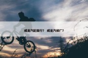 威龙汽配商行？ 威龙汽修厂？