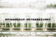 固可力轮胎质量怎么样（固可力轮胎质量怎么样知乎）