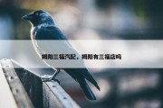 揭阳三福汽配，揭阳有三福店吗