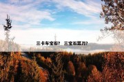 三卡车宝石？ 三宝石菜刀？