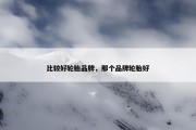 比较好轮胎品牌，那个品牌轮胎好