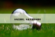大龟王摩托，大龟王摩托车图片