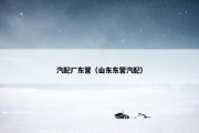 汽配厂东营（山东东营汽配）