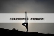 纯新能源电动汽车价格（纯电新能源汽车）