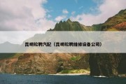 昆明松聘汽配（昆明松聘维修设备公司）