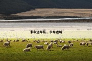 卡车进车队，卡车进城