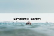 龙泉宁江汽配车间（龙泉汽配厂）