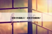 沈阳卡车撞路人？ 沈阳卡车撞轻轨？