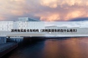 滨州有买皮卡车吗吗（滨州卖货车的在什么地方）