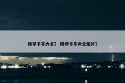 稀罕卡车大全？ 稀罕卡车大全图片？