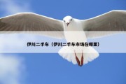 伊川二手车（伊川二手车市场在哪里）