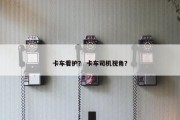 卡车看护？ 卡车司机视角？